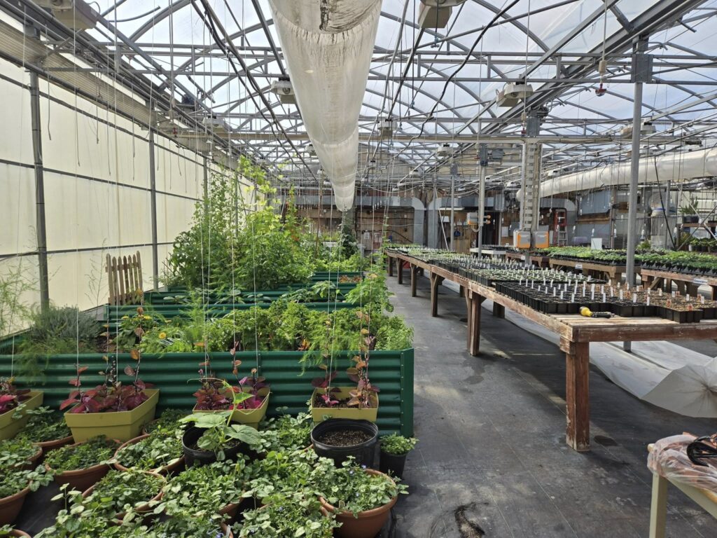 vente horticulture et jardinerie 1