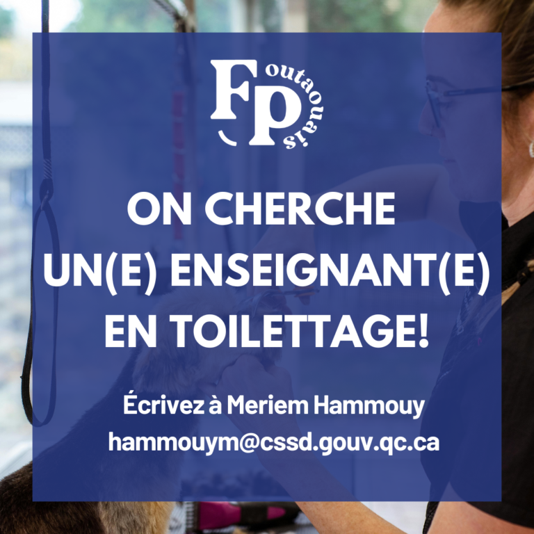 enseignant(e) en toilettage